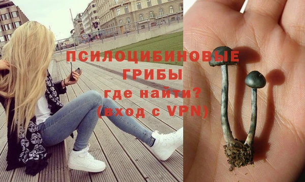 дживик Алексеевка