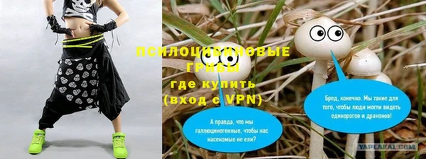 мет Абаза