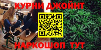 прущие грибы Ливны