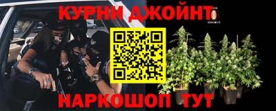 прущие грибы Ливны