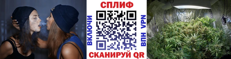Марихуана Amnesia  кракен   Ишимбай 